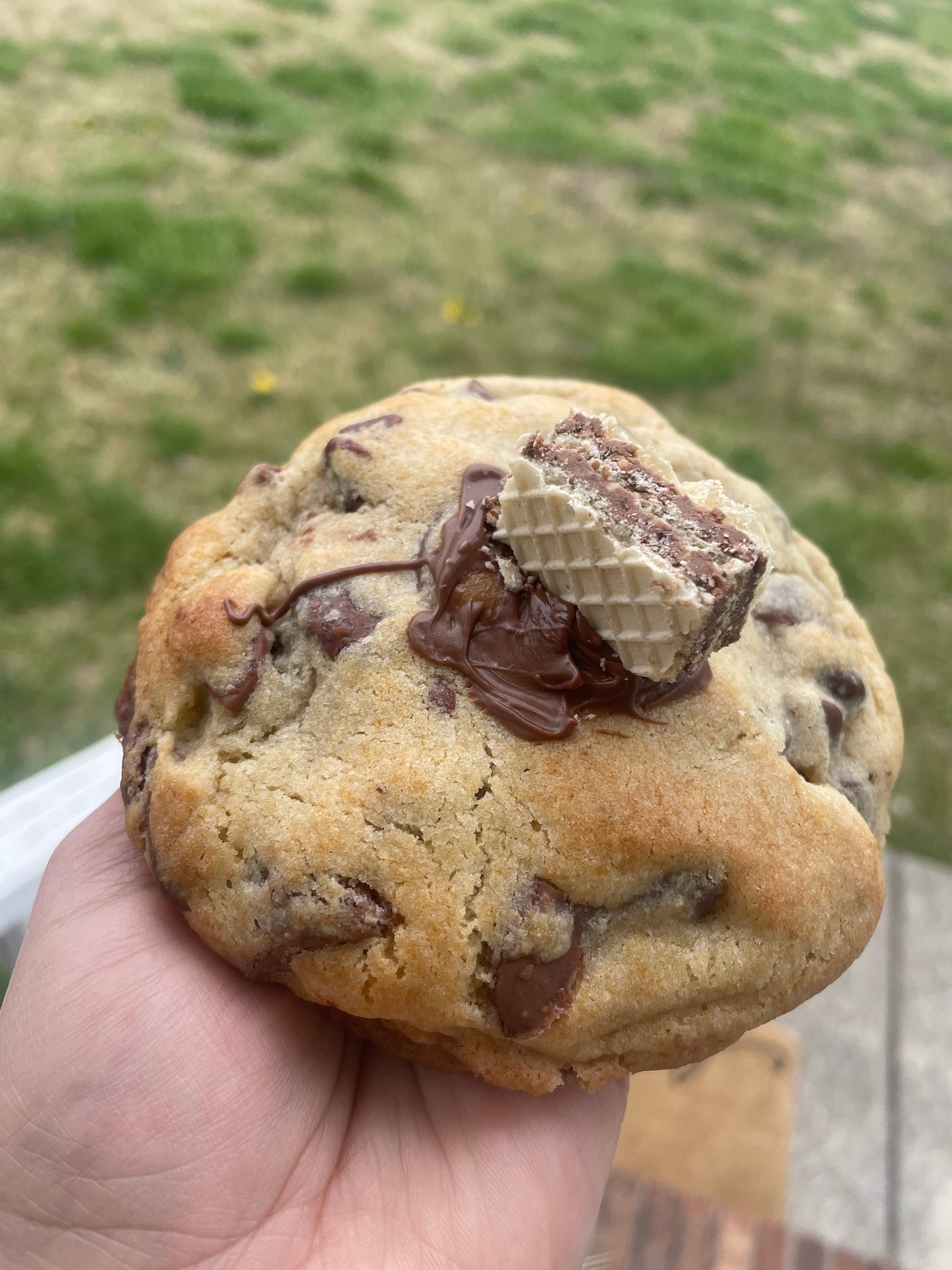 Choconutella
