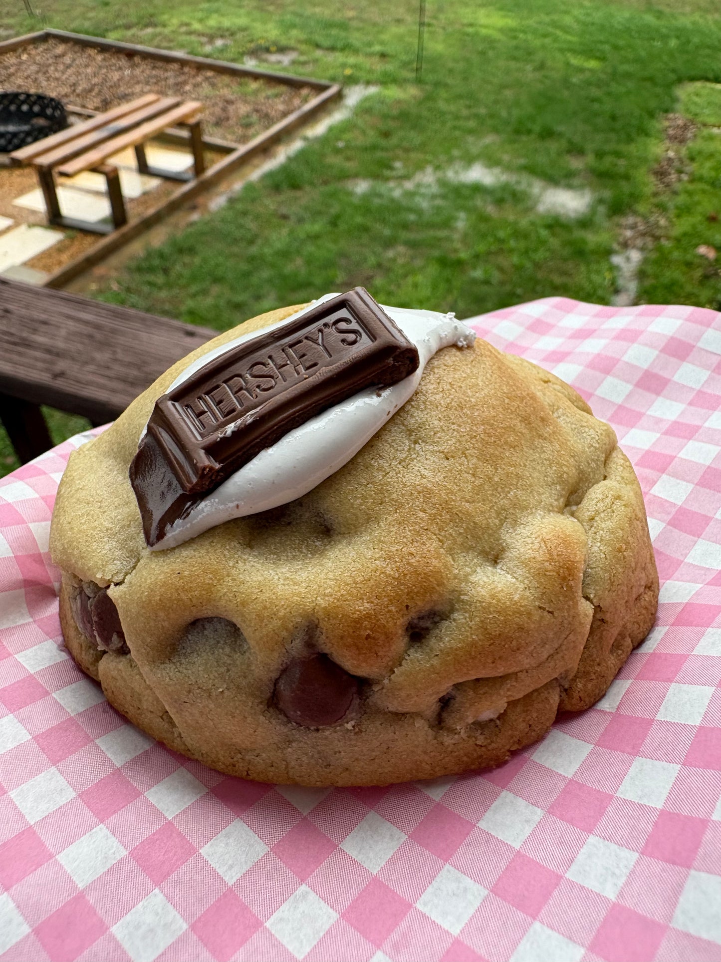 Campfire S’mores