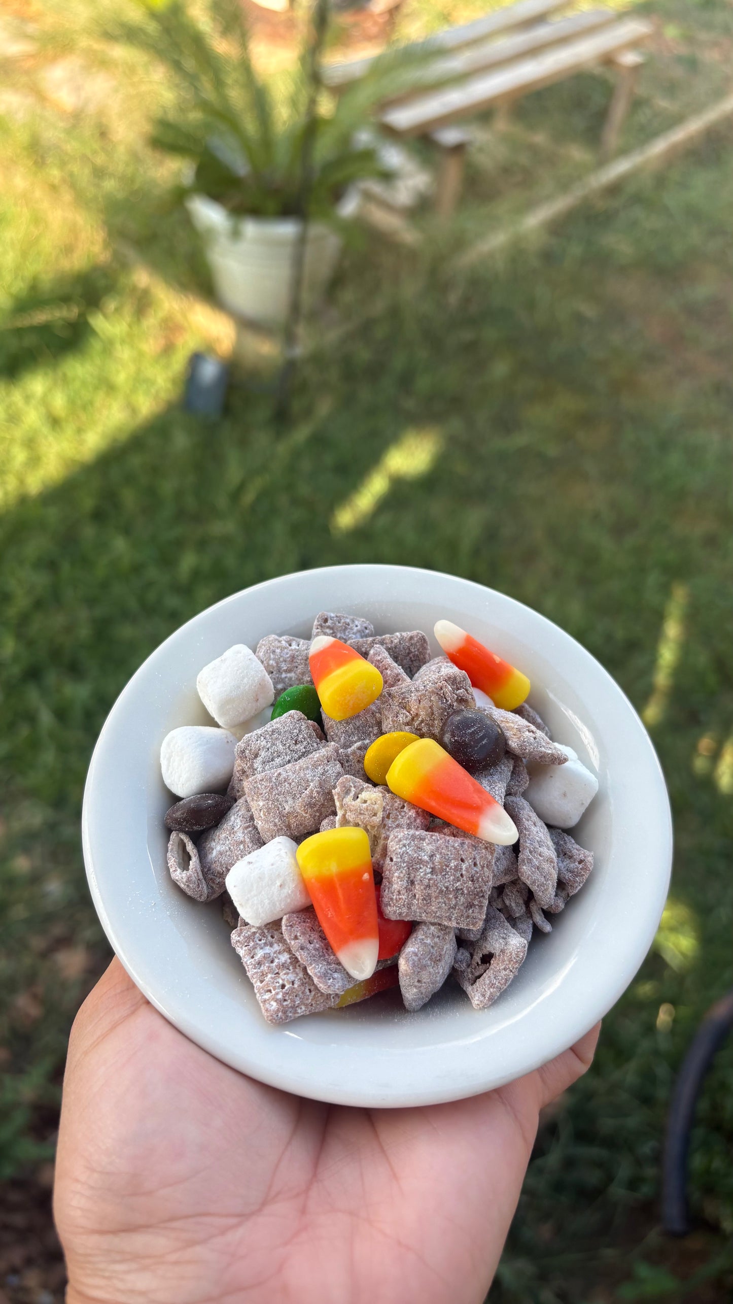 Harvest Sweet Mix