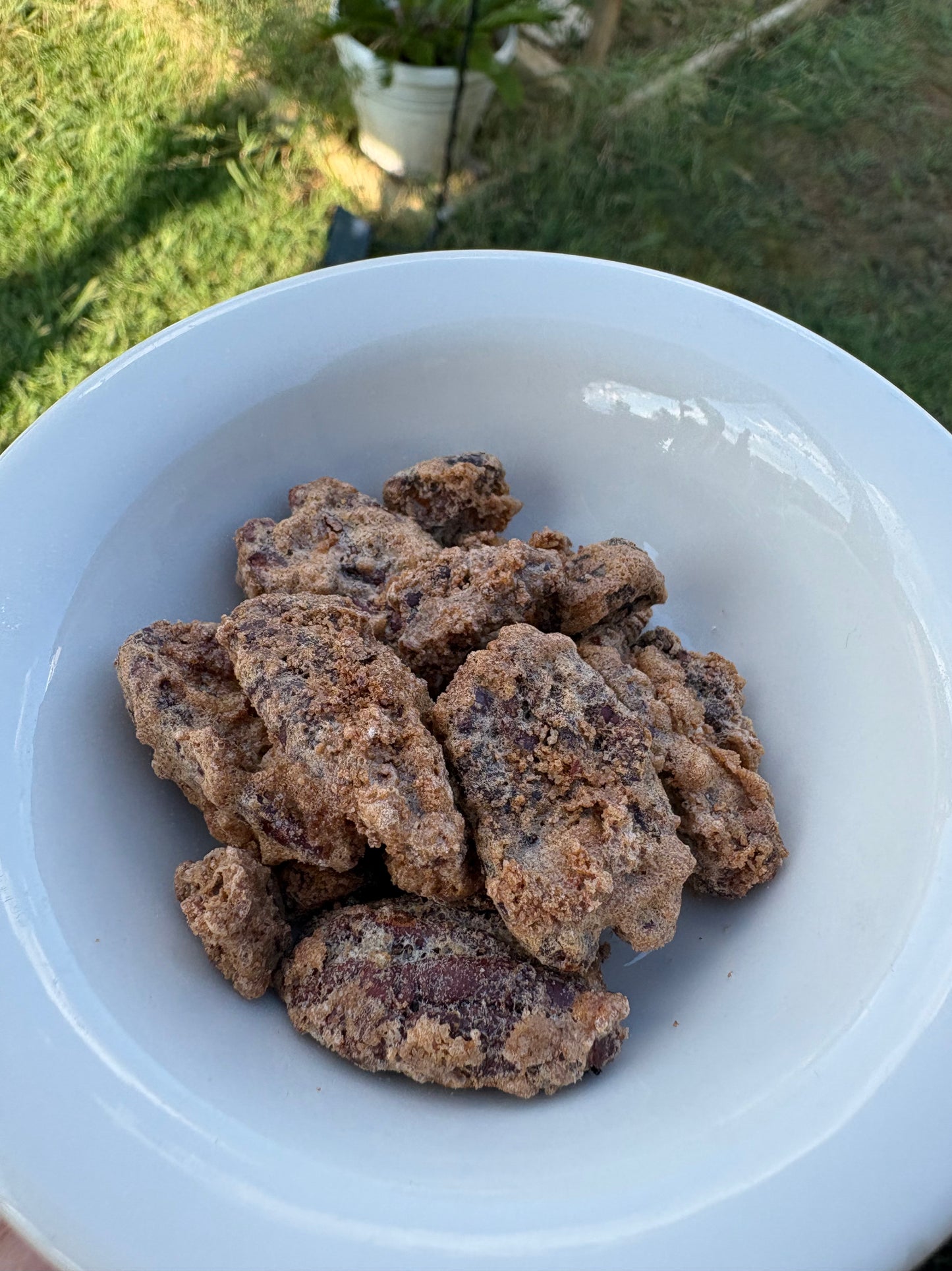 Candied Pecans